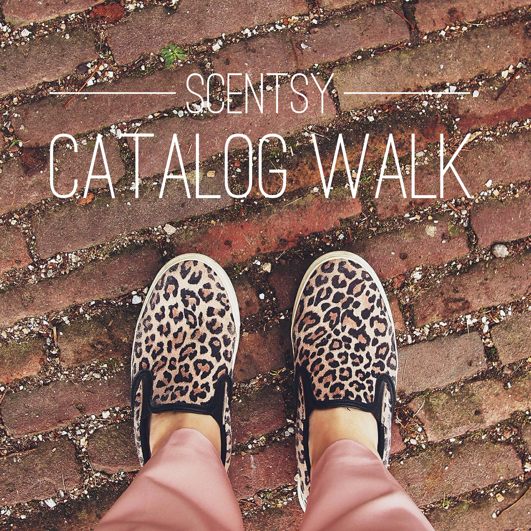 Scentsy Catalog Walk